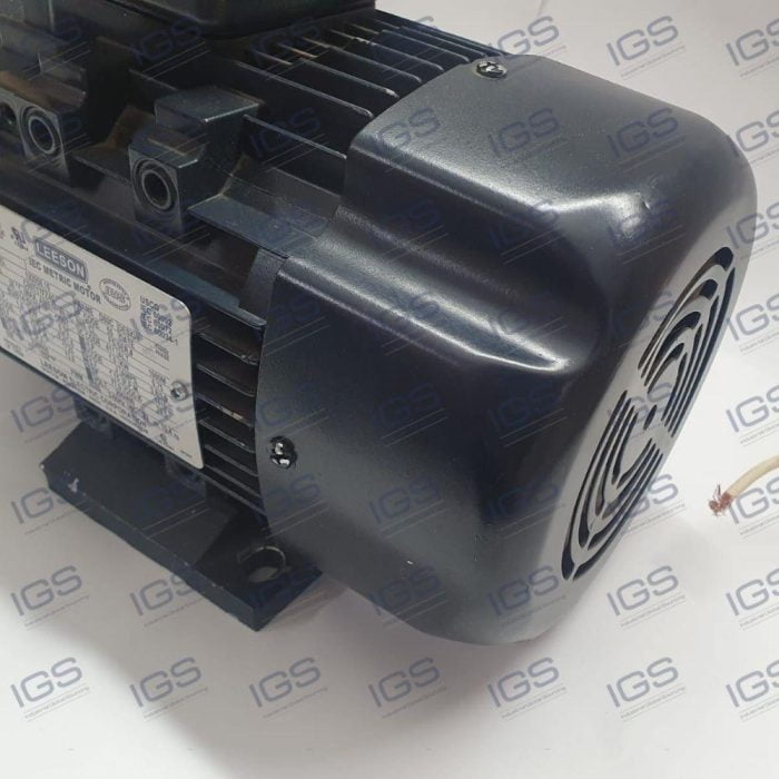 C80T17FZ4C Motor LEESON