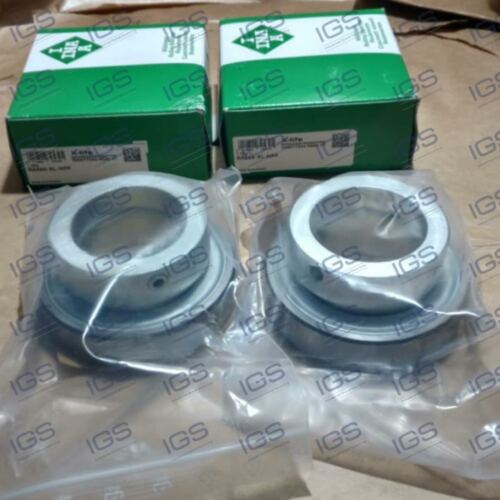 RAE60XLNPP Rolamento INA