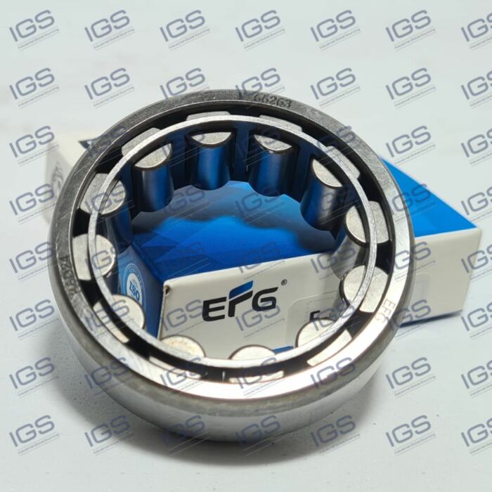 F-66263 Rolamento EFG