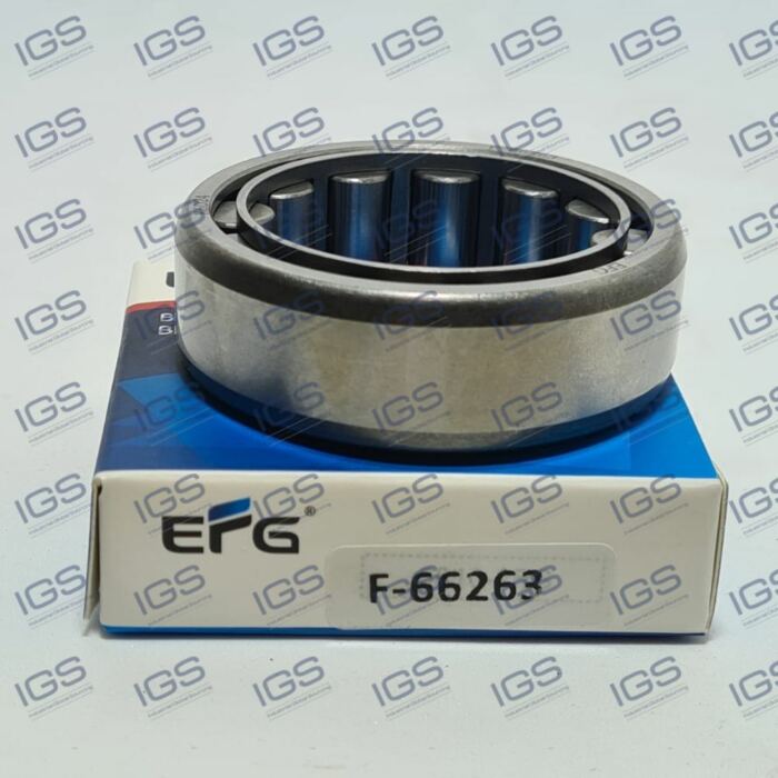 F-66263 Rolamento EFG