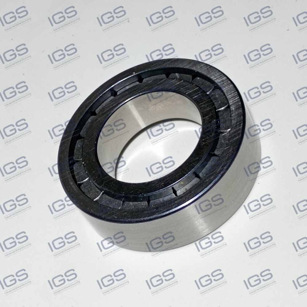 F-202808.02 NUP Rolamento INA