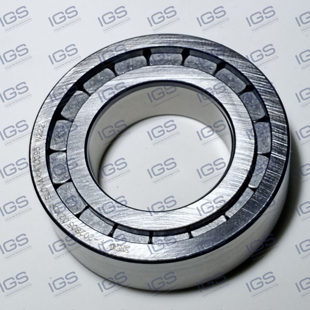 F-202808.02 NUP Rolamento INA