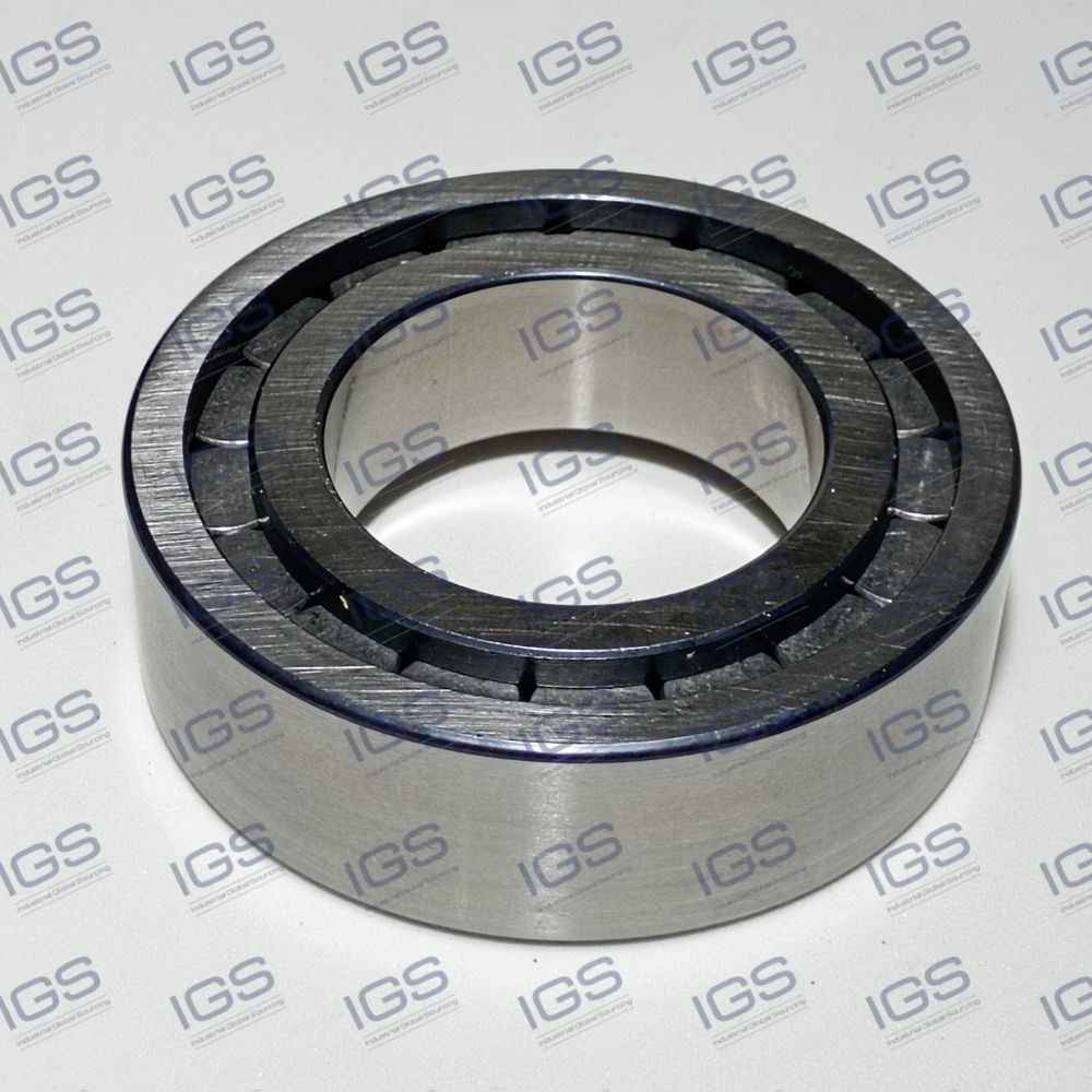 F-202808.02 NUP Rolamento INA