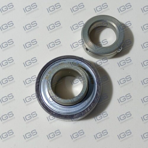 RAL012-NPP Rolamento INA