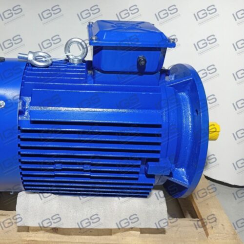GM 200LA 4 B5 Motor SELPEE