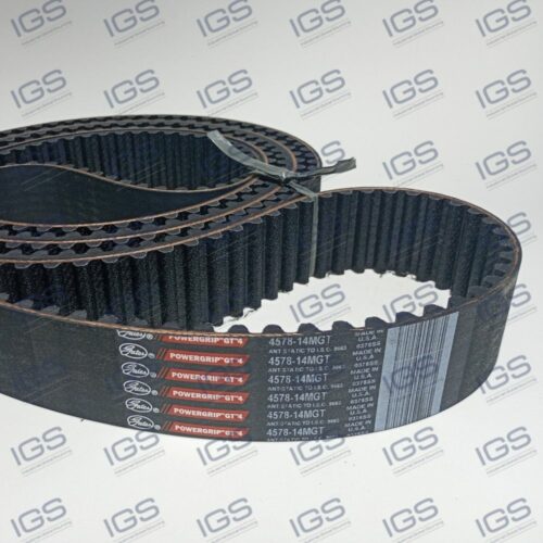 4578-14MGT-55 Correia GATES