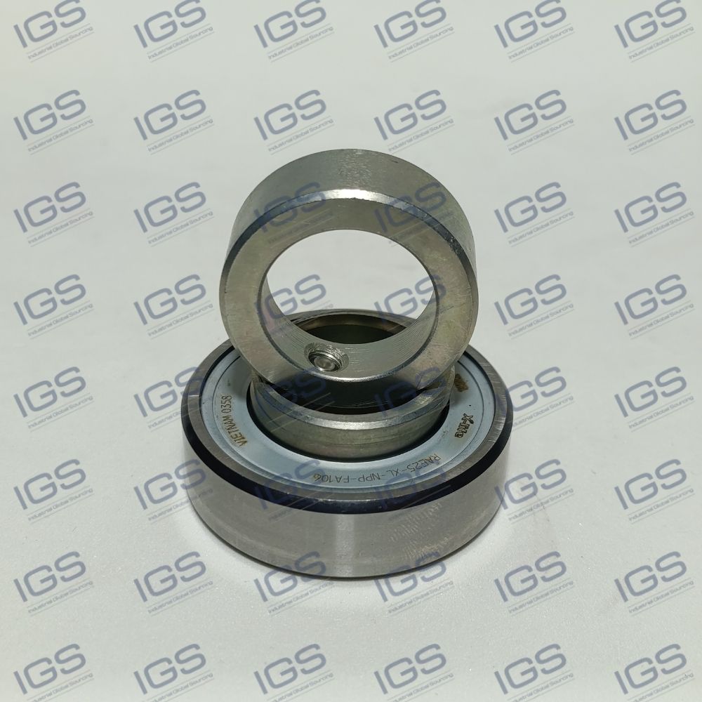 RAE25-XL-NPP-FA106 Rolamento INA