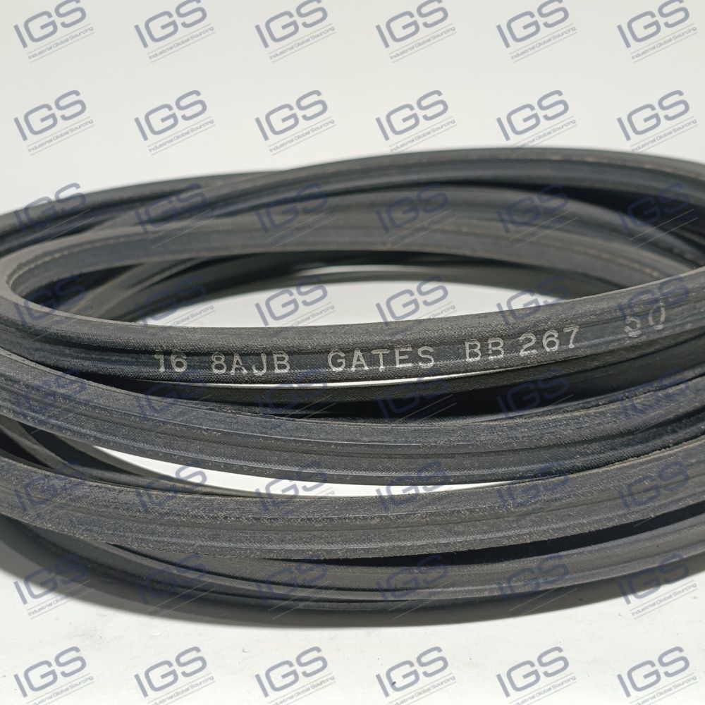 V BB-267 Correia GATES